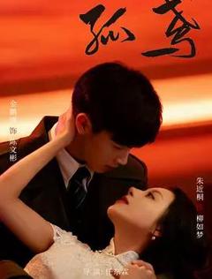 免费在线观看完整版国产剧《孤鸢》