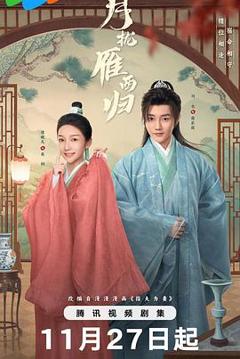 免费在线观看完整版台湾剧《月拢雁西归》