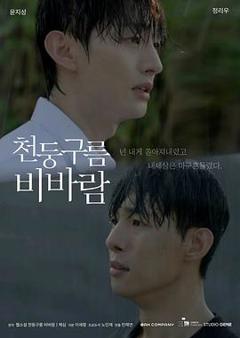 免费在线观看完整版韩国剧《雷云暴雨》