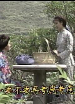 免费在线观看完整版台湾剧《向太阳挑战》