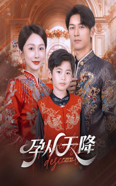 免费在线观看完整版短剧《孕从天降》