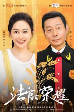 免费在线观看完整版国产剧《法官的荣耀》