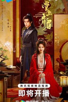 免费在线观看完整版国产剧《掌上齐眉》