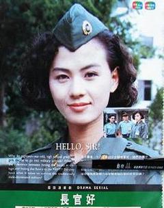 免费在线观看完整版台湾剧《长官好》