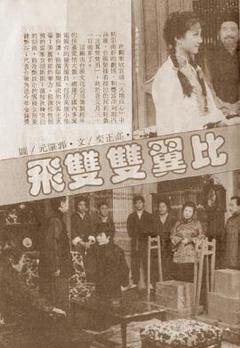 免费在线观看完整版台湾剧《比翼双双飞》