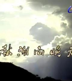 免费在线观看完整版台湾剧《秋潮向晚天1984》