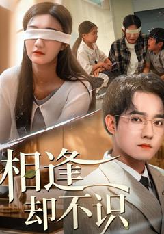 免费在线观看完整版短剧《相逢却不识》