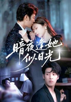 免费在线观看《暗夜逢她似日光》