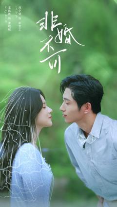 免费在线观看《非婚不可》