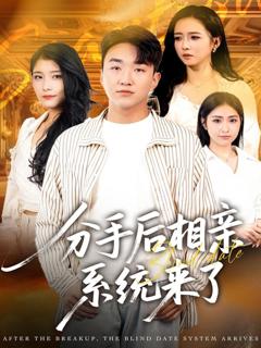 分手后相亲系统来了