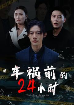 免费在线观看《车祸前的24小时》