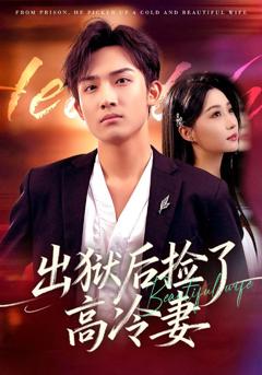 免费在线观看《出狱后捡了高冷妻》