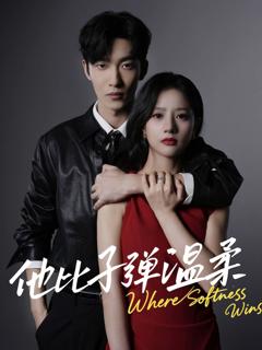 免费在线观看《他比子弹温柔》