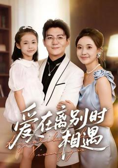 免费在线观看《爱在离别时相遇》