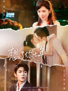 免费在线观看《想了你七年》