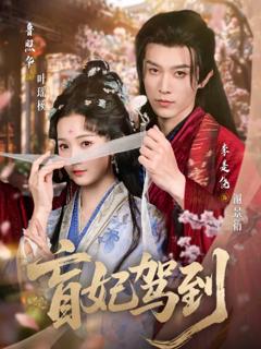 免费在线观看《盲妃驾到》