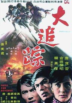 免费在线观看《大追踪》