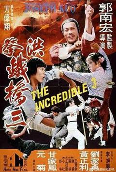 免费在线观看《大洪拳》