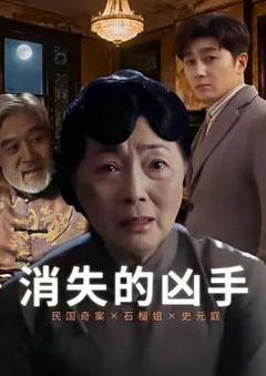 免费在线观看完整版国产剧《消失的凶手2026》