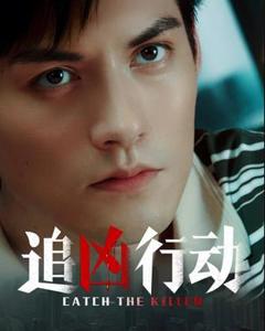 免费在线观看《追凶行动》
