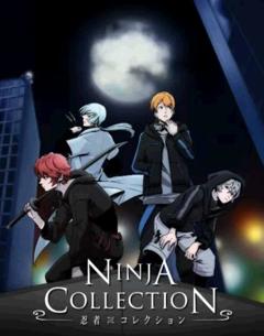 免费在线观看《忍者收藏》