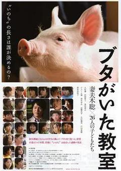 免费在线观看《小猪教室》
