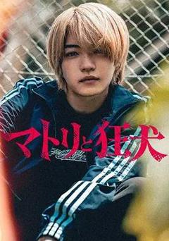 免费在线观看完整版日本剧《缉毒警与疯犬》