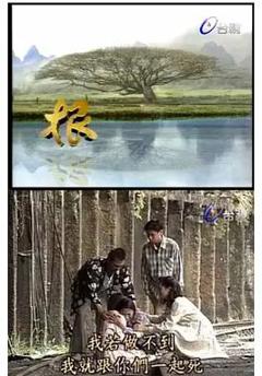 免费在线观看完整版台湾剧《根》