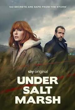 免费在线观看《盐沼之下》