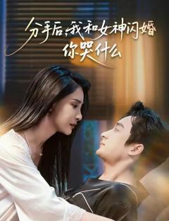 免费在线观看完整版短剧《分手后，我和女神闪婚你哭什么》