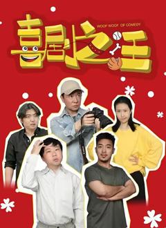 免费在线观看完整版国产剧《喜剧之汪》