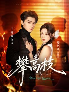 免费在线观看完整版短剧《攀高枝》