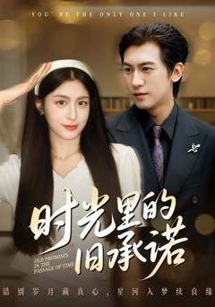 免费在线观看完整版短剧《时光里的旧承诺》