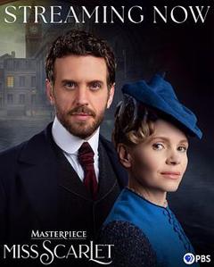 免费在线观看完整版欧美剧《斯嘉丽小姐探案集第六季》