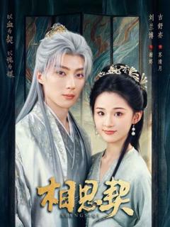 免费在线观看完整版短剧《相思契》