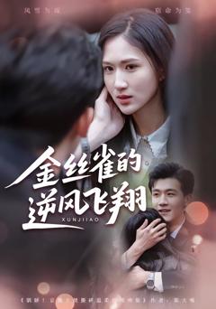免费在线观看完整版短剧《金丝雀的逆风飞翔》
