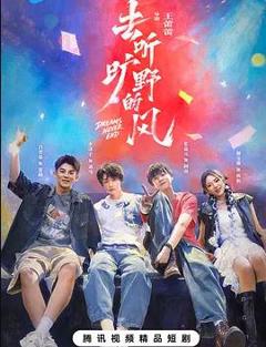 免费在线观看完整版国产剧《去听旷野的风》