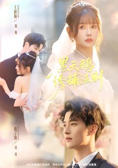 免费在线观看完整版短剧《黑天鹅诱捕法册》