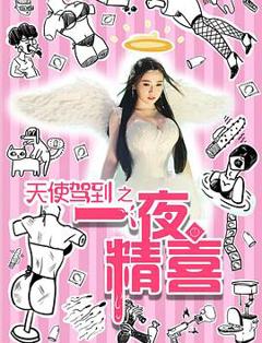 免费在线观看《天使驾到之一夜精喜》