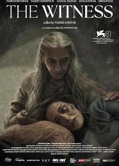 免费在线观看《证人2024》