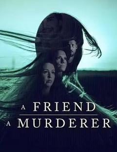 免费在线观看《消失的丹麦女孩：这位朋友，那位凶手》