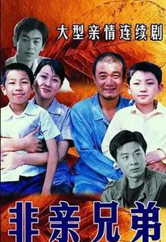 免费在线观看完整版国产剧《非亲兄弟》