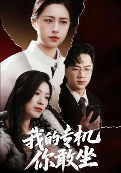 我的专机你敢坐