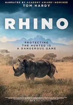 免费在线观看《犀牛2025》