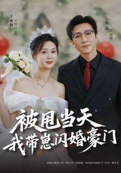免费在线观看完整版短剧《被甩当天我带崽闪婚豪门》