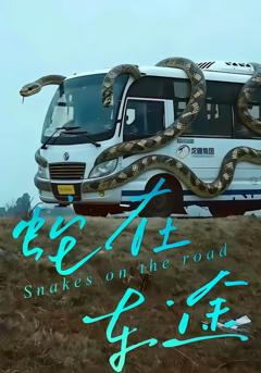 蛇在车途