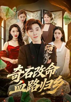 免费在线观看完整版短剧《奇石改命血路归乡》