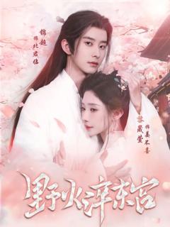 免费在线观看完整版短剧《野火淬东宫》