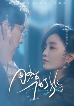 免费在线观看完整版短剧《周先生，借个婚》