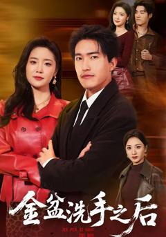 免费在线观看完整版短剧《金盆洗手之后》